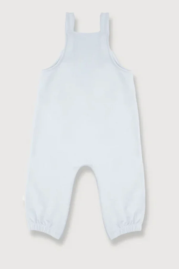 overalls05_ocean overalls
