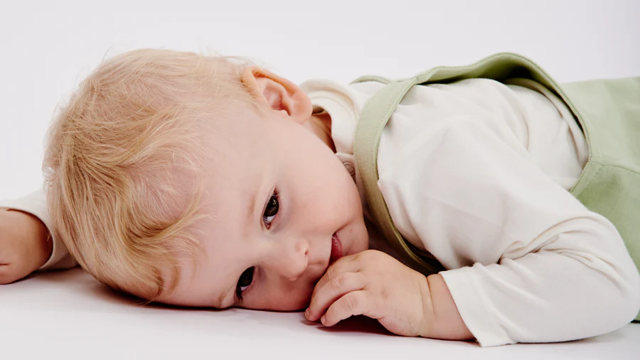 Overall_header_1_98816bce-97e1-42ef-8937-062246c7b6bc_900x